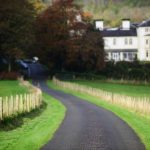 Driveway to Falcondale
