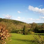 View from the terrace