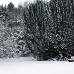 Bench in the snow