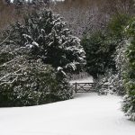 Gate in the snow