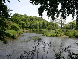 Teifi fishing